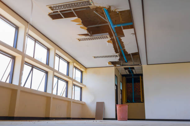 Best Water damage cleanup near me  in Pulaski, TN