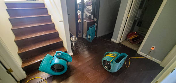 Best Water damage restoration near me  in Pulaski, TN