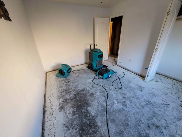 Best Ceiling water damage repair  in Pulaski, TN