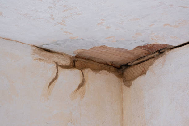 Best Flood restoration services  in Pulaski, TN