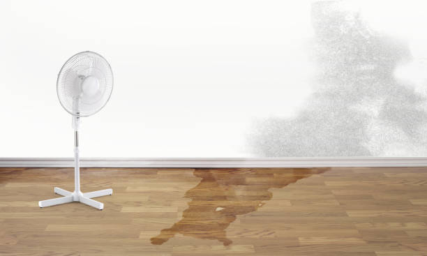 Best Emergency water damage restoration  in Pulaski, TN