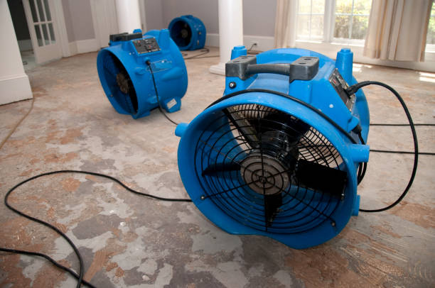 Best 24/7 water damage repair  in Pulaski, TN