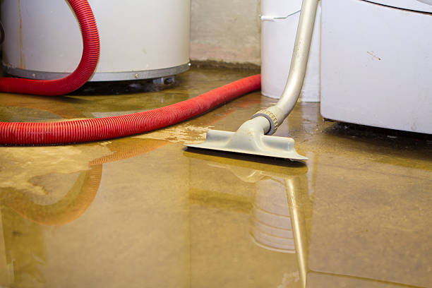 Best Water damage mitigation services  in Pulaski, TN