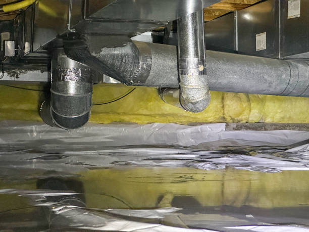 Carpet water damage restoration in TN