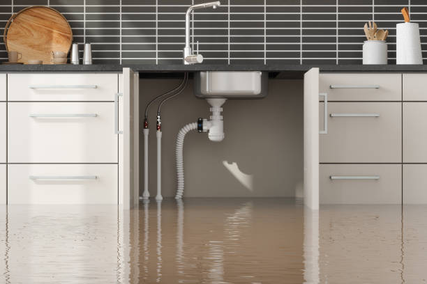 Best Sewage cleanup and water damage restoration  in Pulaski, TN