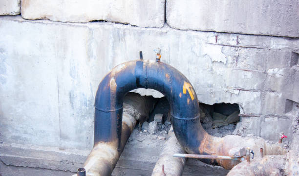 Best Carpet water damage restoration  in Pulaski, TN
