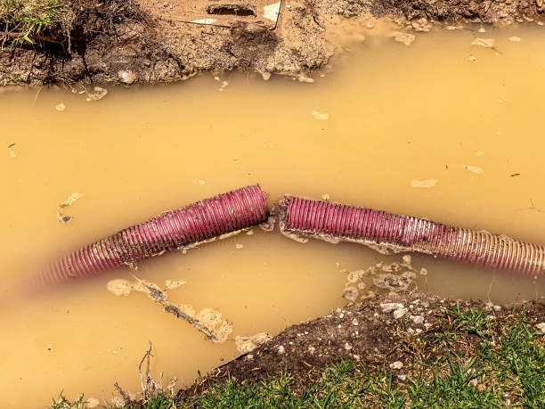Best 24-hour water damage restoration  in Pulaski, TN