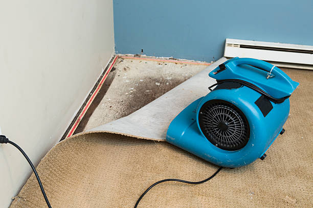 Best Professional water damage repair  in Pulaski, TN